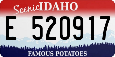 ID license plate E520917
