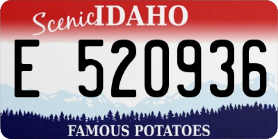 ID license plate E520936