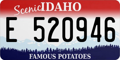 ID license plate E520946