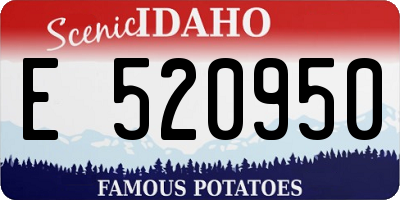 ID license plate E520950