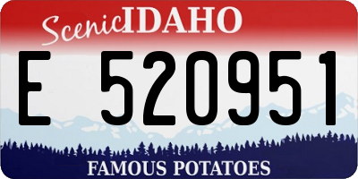 ID license plate E520951