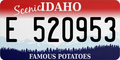 ID license plate E520953