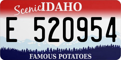 ID license plate E520954