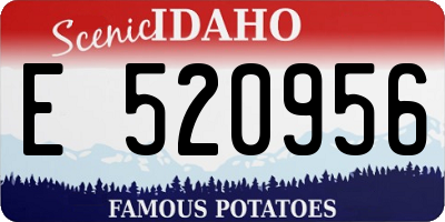 ID license plate E520956