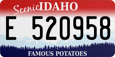 ID license plate E520958
