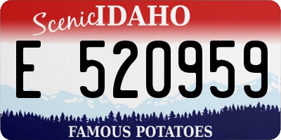 ID license plate E520959