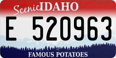 ID license plate E520963