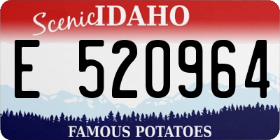 ID license plate E520964