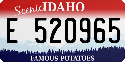 ID license plate E520965