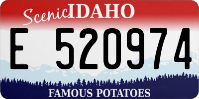 ID license plate E520974