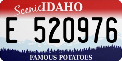 ID license plate E520976