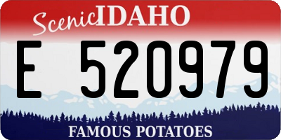 ID license plate E520979