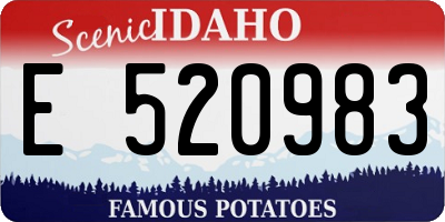 ID license plate E520983