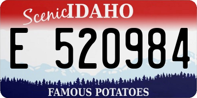 ID license plate E520984