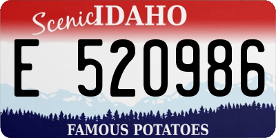 ID license plate E520986