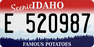 ID license plate E520987