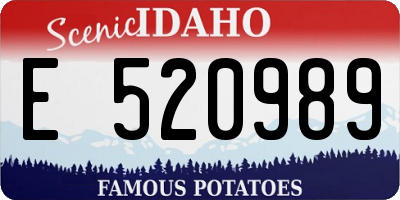 ID license plate E520989