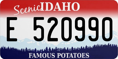 ID license plate E520990