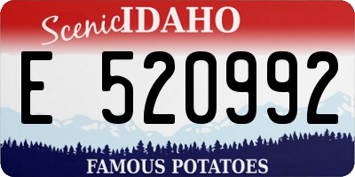 ID license plate E520992