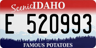 ID license plate E520993