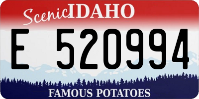 ID license plate E520994