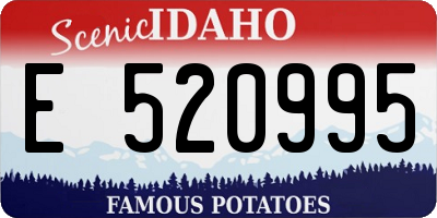 ID license plate E520995