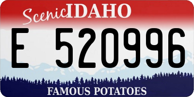 ID license plate E520996