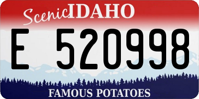 ID license plate E520998