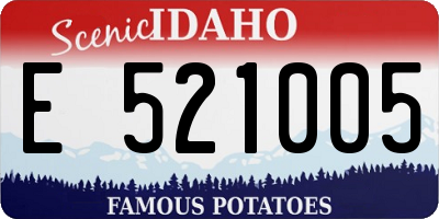 ID license plate E521005