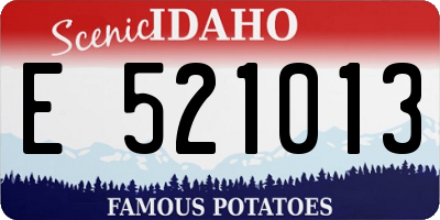 ID license plate E521013