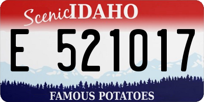 ID license plate E521017