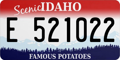 ID license plate E521022