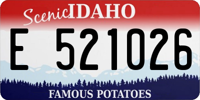 ID license plate E521026