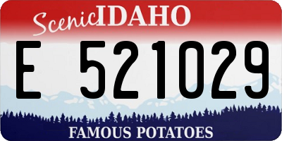 ID license plate E521029