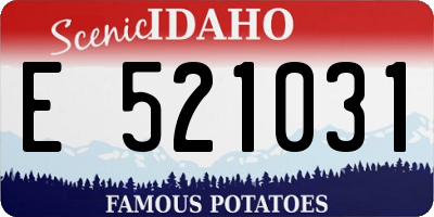 ID license plate E521031