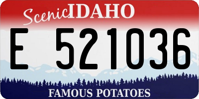 ID license plate E521036
