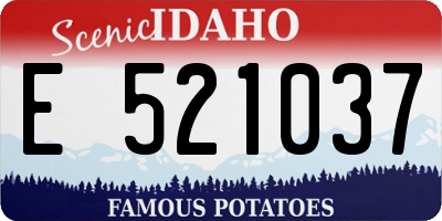 ID license plate E521037