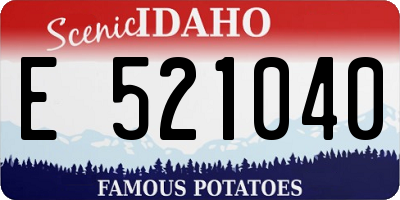 ID license plate E521040