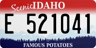 ID license plate E521041