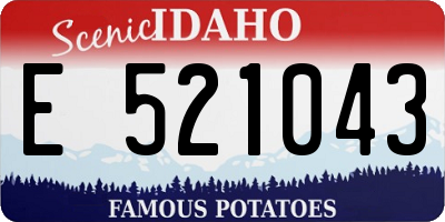 ID license plate E521043