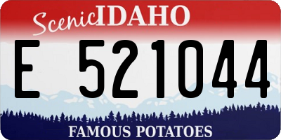 ID license plate E521044