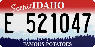 ID license plate E521047