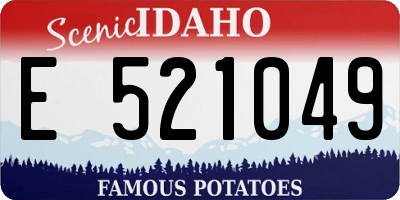 ID license plate E521049