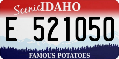 ID license plate E521050