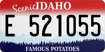 ID license plate E521055