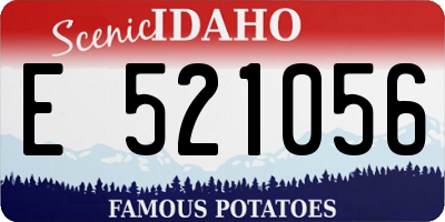 ID license plate E521056
