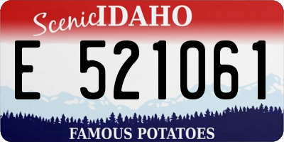ID license plate E521061