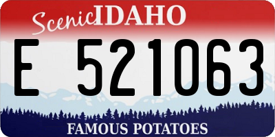 ID license plate E521063