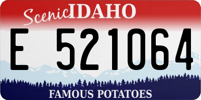 ID license plate E521064