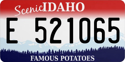 ID license plate E521065